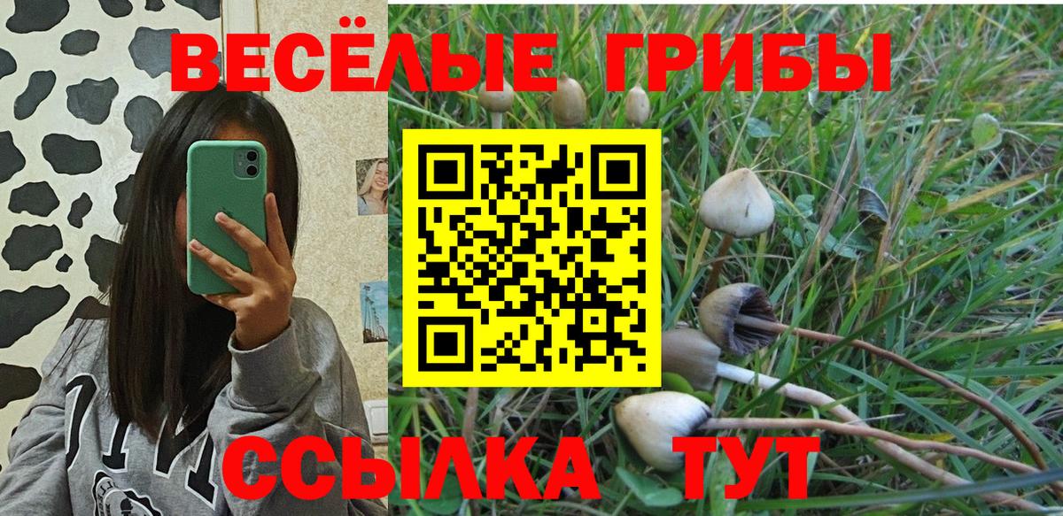 Сальск  наркота  Вход с VPN  Псилоцибиновые грибы MAGIC MUSHROOMS 